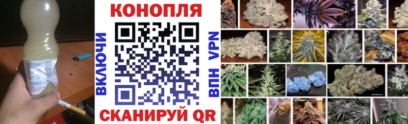 Марихуана сатива гидра ссылки Советская Гавань